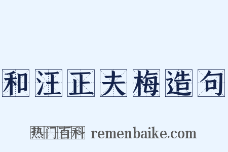 和汪正夫梅造句是什么意思的图片